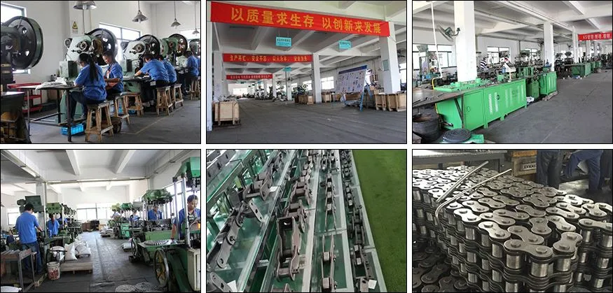 B Series Short Pitch Precision Roller Chain workshop